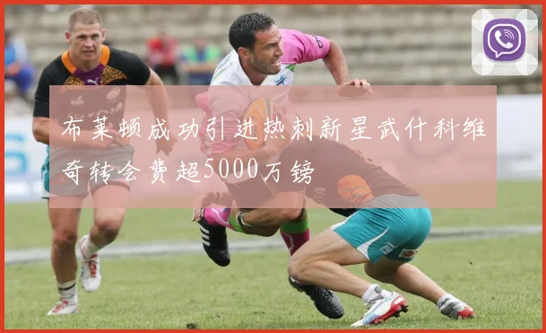 布莱顿成功引进热刺新星武什科维奇转会费超5000万镑